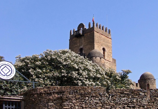 Gonder