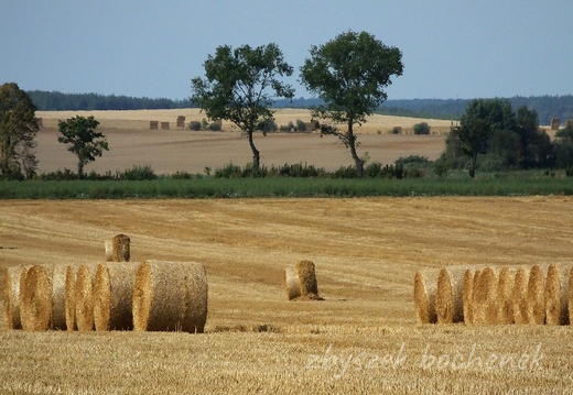 Podlasie