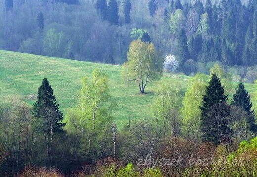 Bieszczady