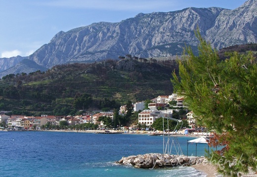 Podgora
