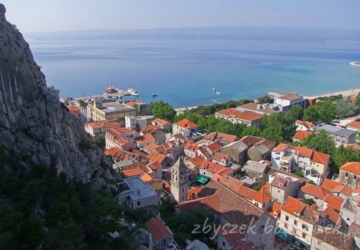 Omis