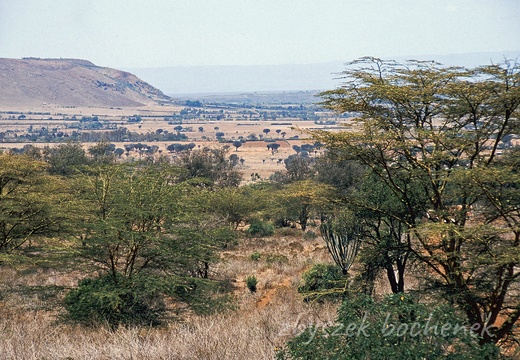 Masai Mara