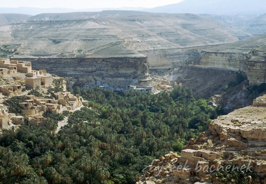 Atlas Saharyjski
